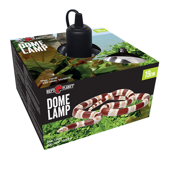 REPTI PLANET Dome lamp 19cm