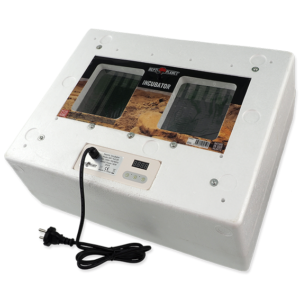 ReptiPlanet Inkubaator