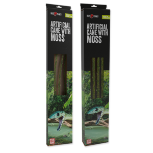 ReptiPlanet Samblaliaan