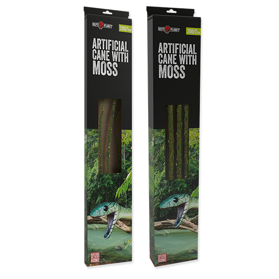 ReptiPlanet Samblaliaan