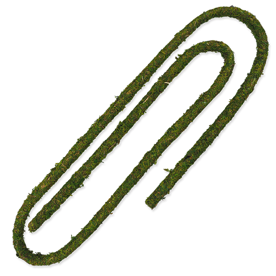 ReptiPlanet Samblaliaan - Image 3