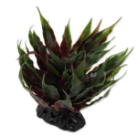 REPTI PLANET agave green kunsttaim