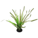 REPTI PLANET spartina kunsttaim