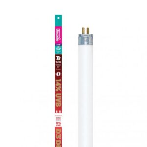 ARCADIA - D3+ DRAGON 14% UVB T5