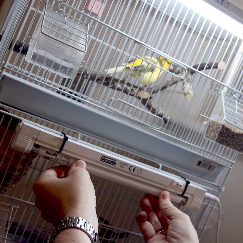 Arcadia 8W 2,4% UVB mini komplekt lindudele - Image 2