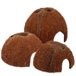 ReptiPlanet Kookos peidukoht