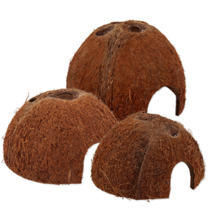 ReptiPlanet Kookos peidukoht