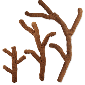 REPTIPLANET-Coco Troncho