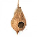 HabiStat kookos peidukoht