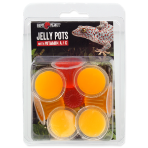 REPTI PLANET Jelly Pots Mixed 8tk